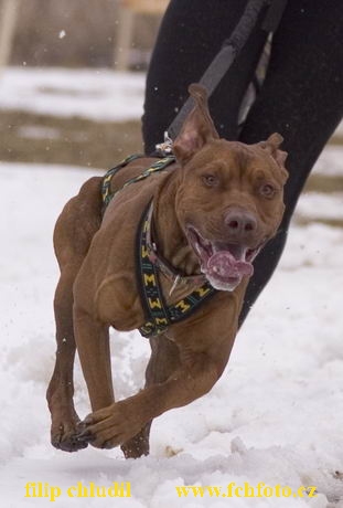 Hustopece 06 - 020a.jpg